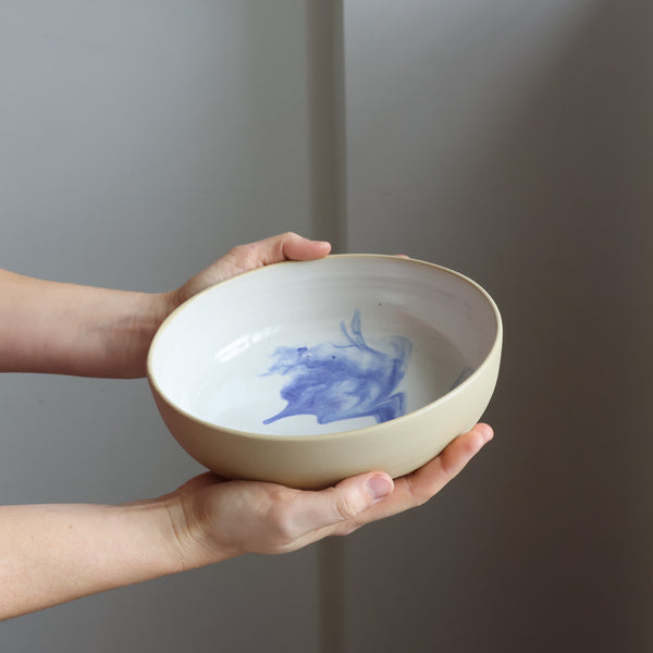 Shallow bowl
